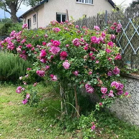 Comme A La Maison ! Caluire-et-Cuire Esterno foto