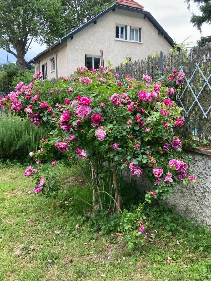 Comme A La Maison !